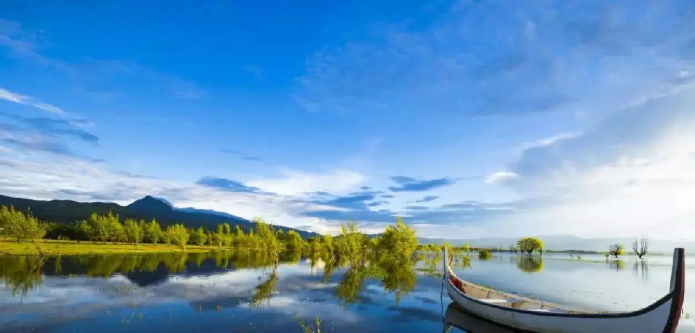 云南電子保函服務釋放保證金超86億元